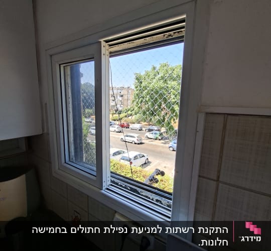 חלון עם רשת למניעת כניסת יונים